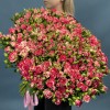 101 кустовая бело-малиновая роза Файрворкс 60 см