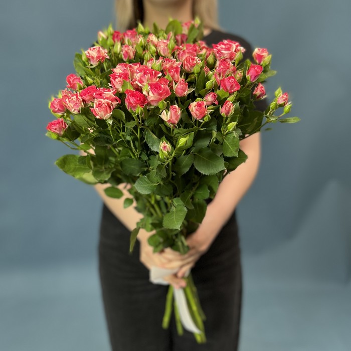 11 кустовых бело-малиновых роз Файрворкс 60 см