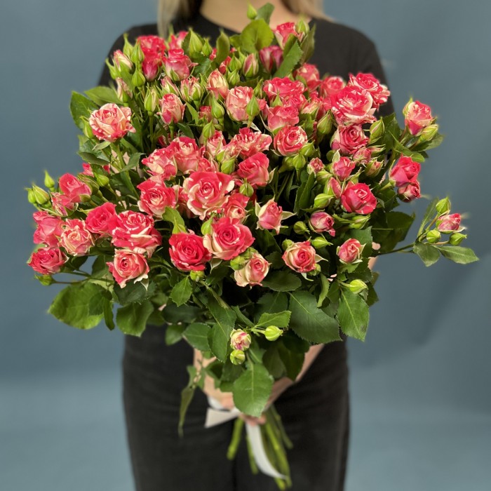 11 кустовых бело-малиновых роз Файрворкс 60 см