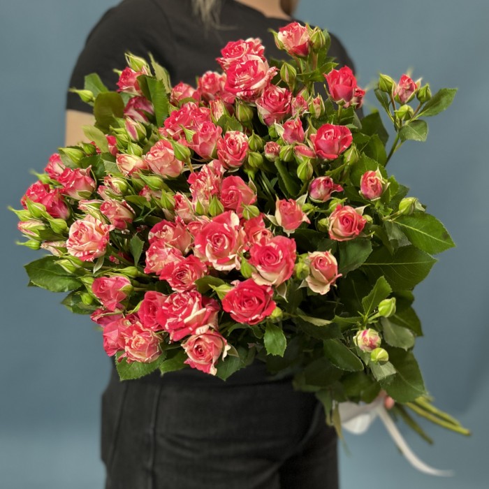 11 кустовых бело-малиновых роз Файрворкс 60 см