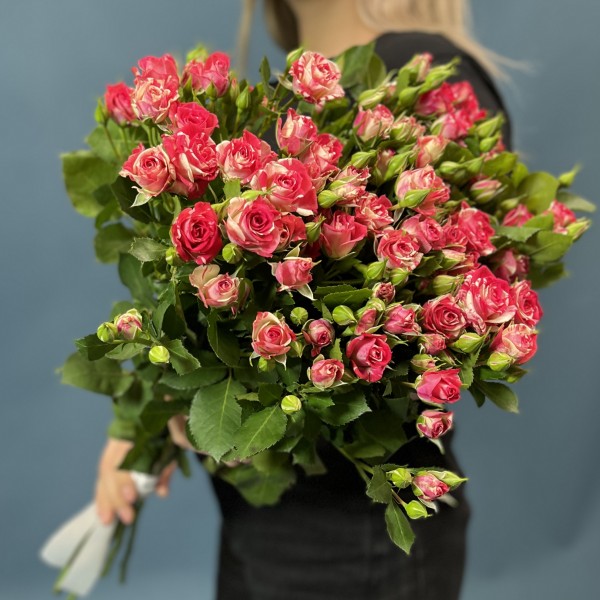 11 кустовых бело-малиновых роз Файрворкс 60 см