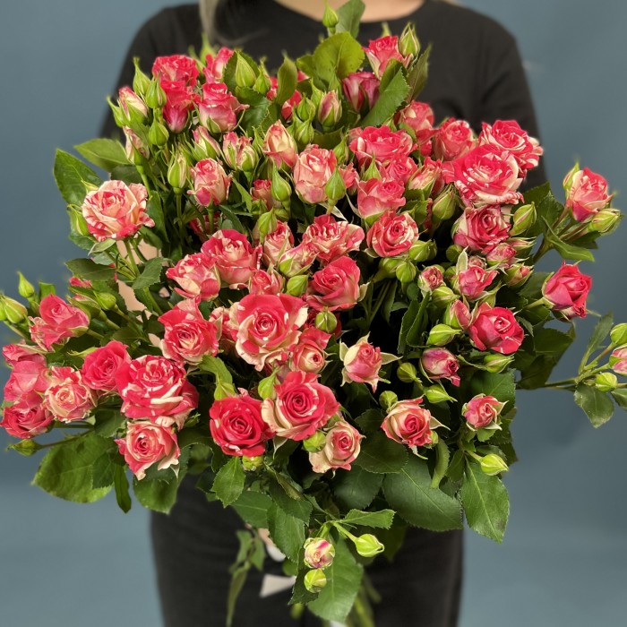 11 кустовых бело-малиновых роз Файрворкс 60 см