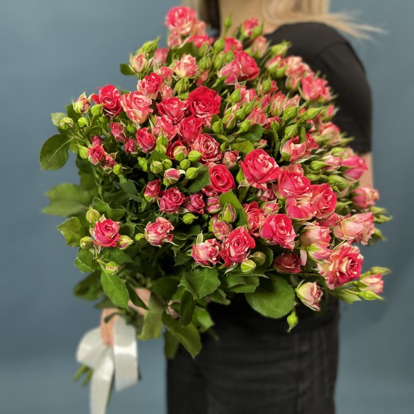 15 кустовых бело-малиновых роз Файрворкс 60 см