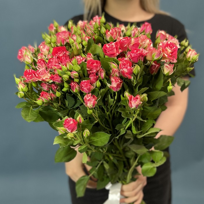 15 кустовых бело-малиновых роз Файрворкс 60 см