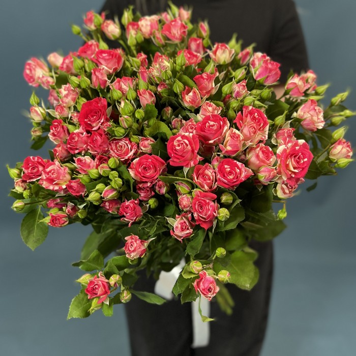 15 кустовых бело-малиновых роз Файрворкс 60 см