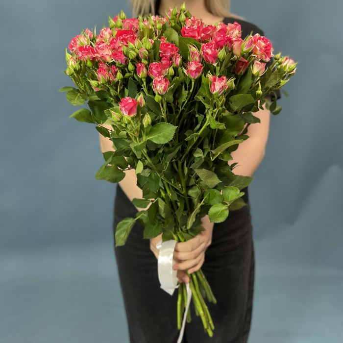 15 кустовых бело-малиновых роз Файрворкс 60 см