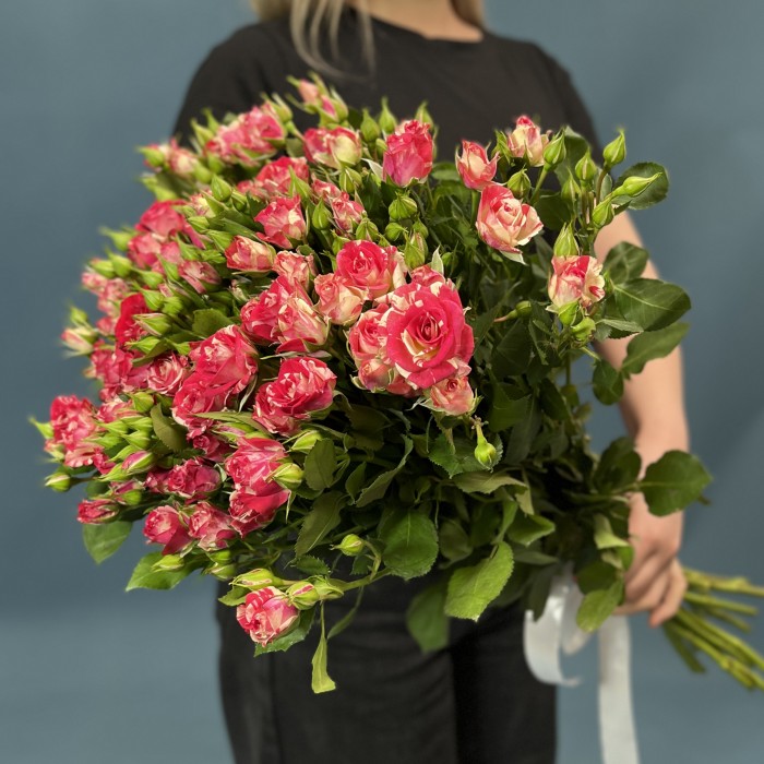 15 кустовых бело-малиновых роз Файрворкс 60 см