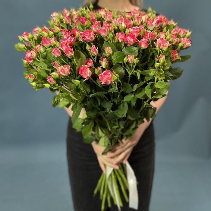 25 кустовых бело-малиновых роз Файрворкс 60 см