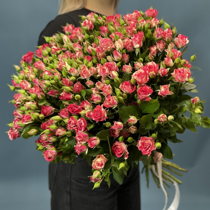 25 кустовых бело-малиновых роз Файрворкс 60 см
