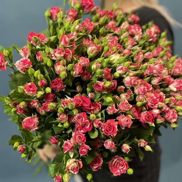 25 кустовых малиново-белых роз Файрворкс 70 см