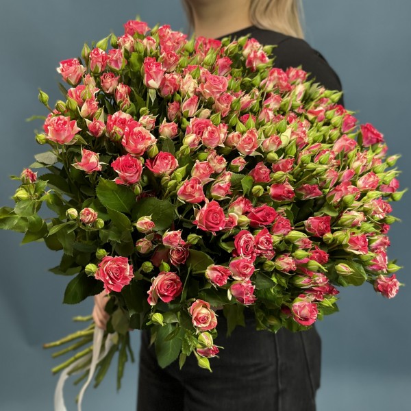 25 кустовых бело-малиновых роз Файрворкс 60 см