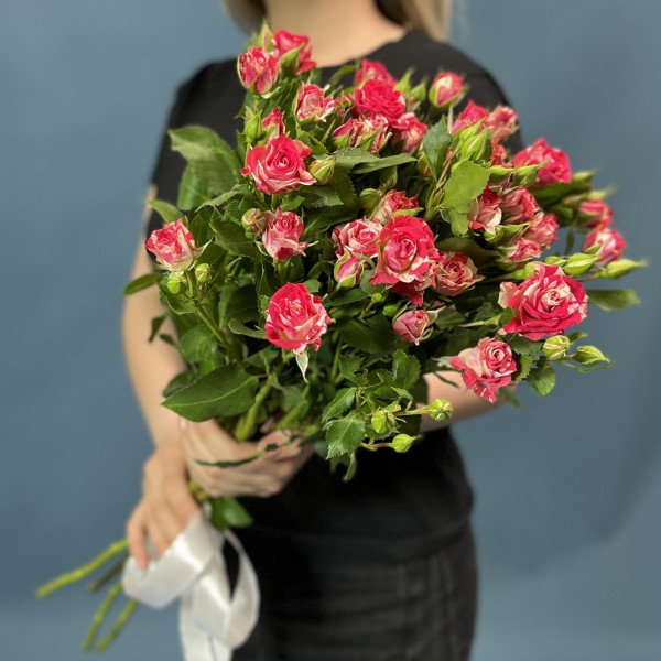 5 кустовых бело-малиновых роз Файрворкс 60 см