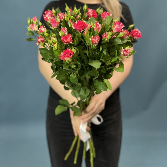 5 кустовых бело-малиновых роз Файрворкс 60 см