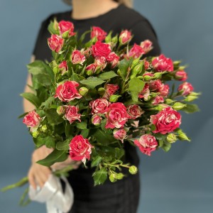 5 кустовых малиново-белых роз Файрворкс 70 см