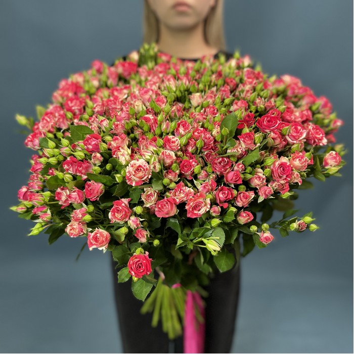 51 кустовая малиново-белая роза Файрворкс 70 см