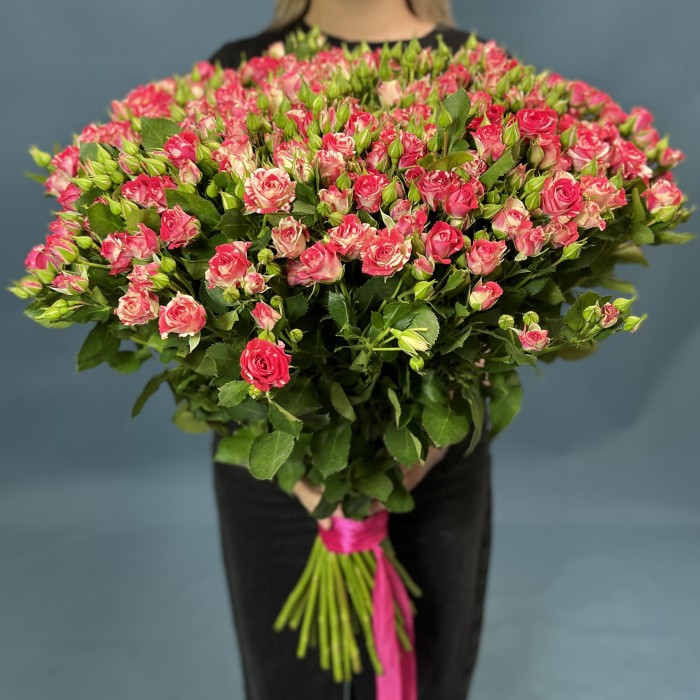 51 кустовая малиново-белая роза Файрворкс 70 см