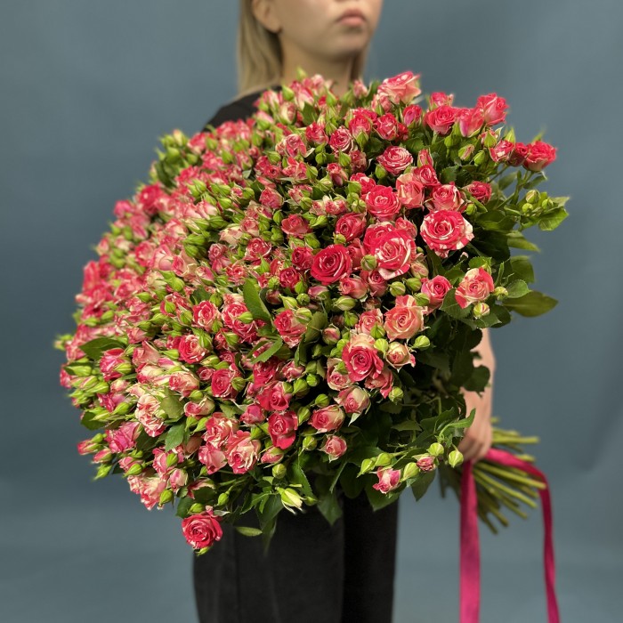 51 кустовая малиново-белая роза Файрворкс 70 см