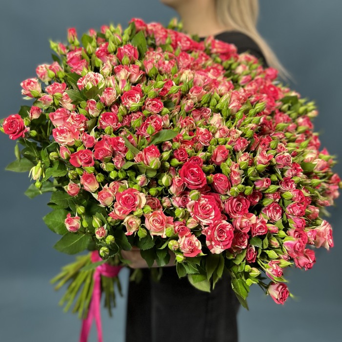 51 кустовая малиново-белая роза Файрворкс 70 см