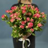 7 кустовых бело-малиновых роз Файрворкс 60 см