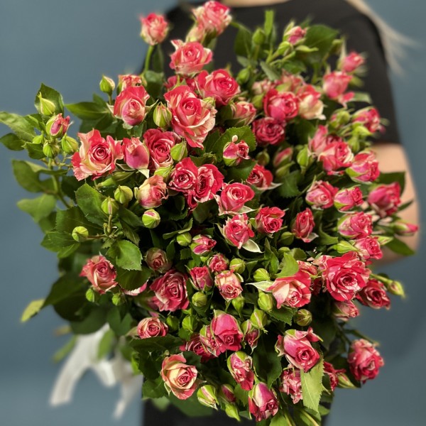 9 кустовых бело-малиновых роз Файрворкс 70 см