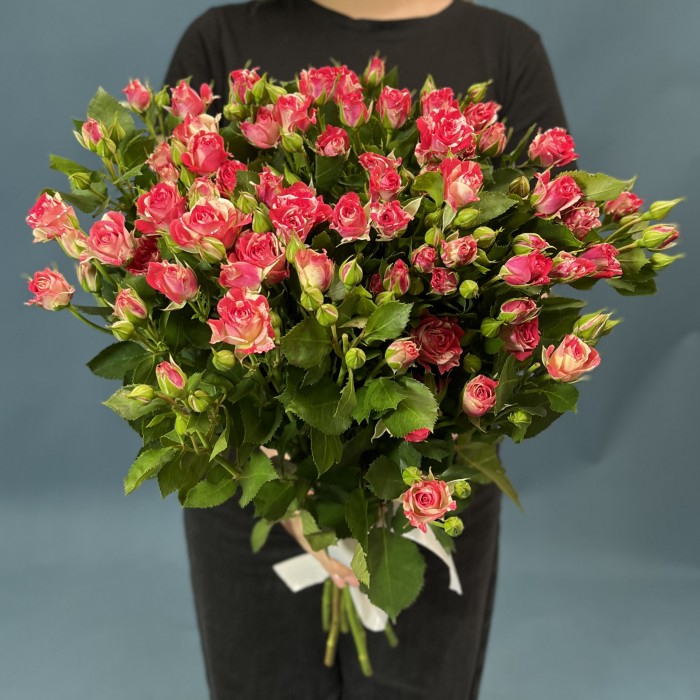 9 кустовых бело-малиновых роз Файрворкс 70 см