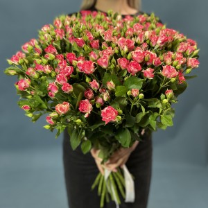 Кустовая бело-малиновая роза Файрворкс 70 см