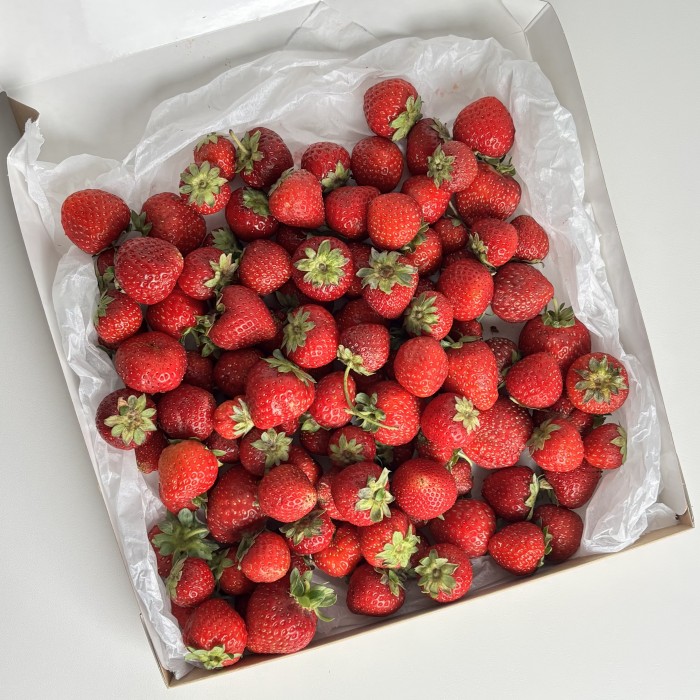 Клубника в коробке 1500гр