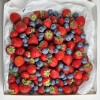 Мега коробка с клубникой и голубикой 1500гр