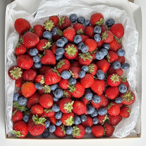 Мега коробка с клубникой и голубикой 1500гр