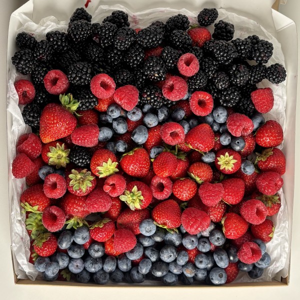 Мега коробка с ягодами сочный микс 1500гр