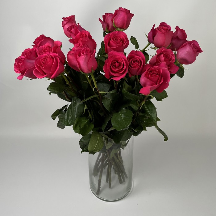 Роза 80 см малиновая Пинк Флоид