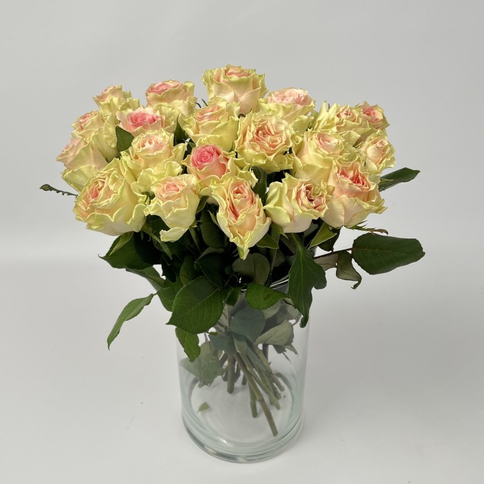 Роза 40 см Топ - Гир