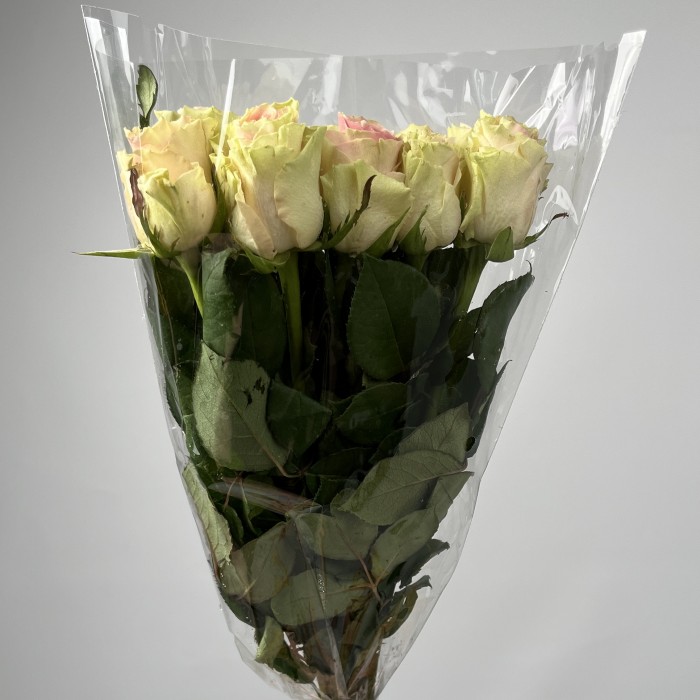 Роза 40 см Топ - Гир