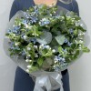 15 синих Оксипеталумов