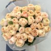 35 абрикосовых роз Принцес Краун 60 см