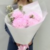 5 розовых хризантем с шамелациумом