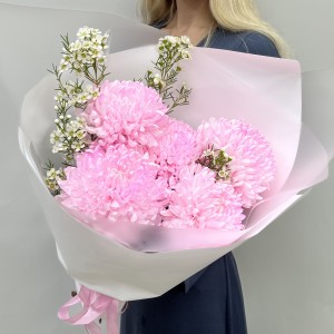 5 розовых хризантем с шамелациумом