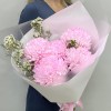 5 розовых хризантем с шамелациумом