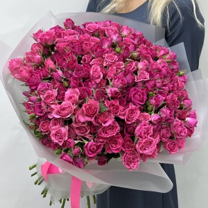 51 кустовая роза Глория 50 см