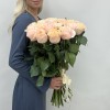 Абрикосовая роза Принцес Краун 60 см