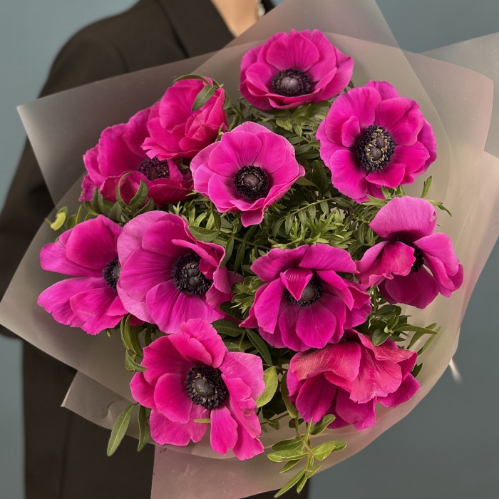 11 малиновых анемонов