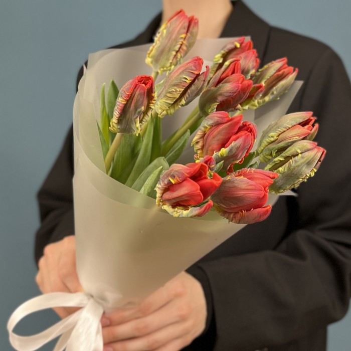 11 тюльпанов красных с желтым краем попугай Рококо