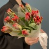 11 тюльпанов красных с желтым краем попугай Рококо
