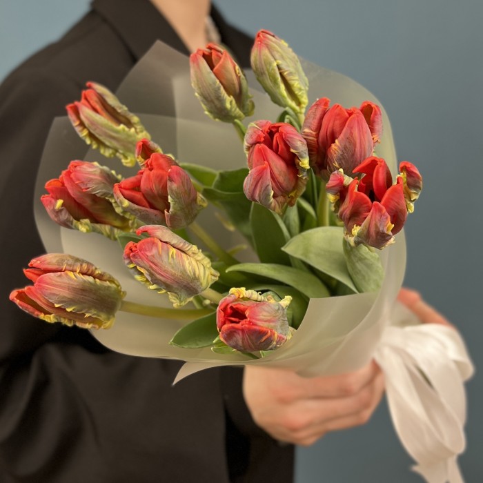 11 тюльпанов красных с желтым краем попугай Рококо