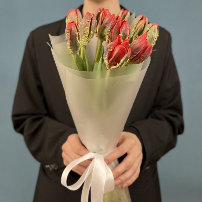 11 тюльпанов красных с желтым краем попугай Рококо