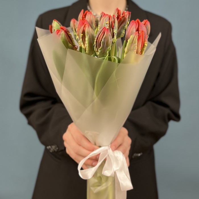 15 тюльпанов красных с желтым краем Попугай Рококо