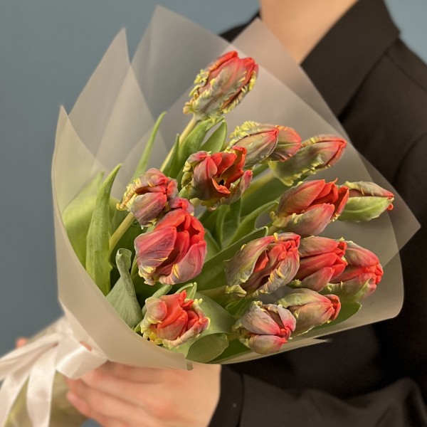 15 тюльпанов красных с желтым краем Попугай Рококо