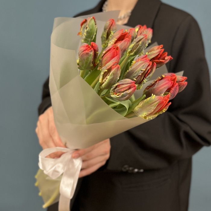 15 тюльпанов красных с желтым краем Попугай Рококо