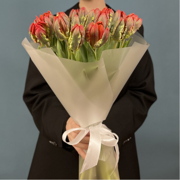 19 тюльпанов красных с желтым краем Попугай Рококо