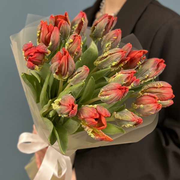 19 тюльпанов красных с желтым краем Попугай Рококо